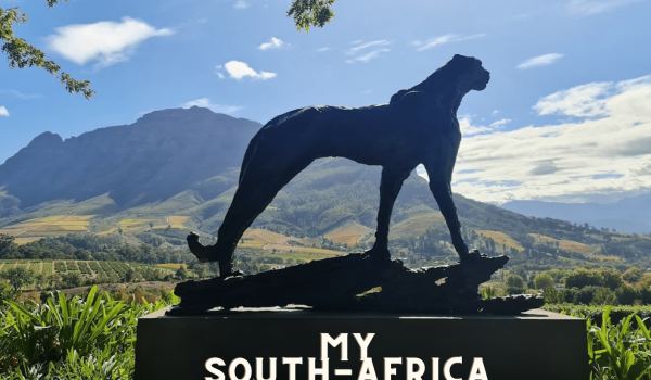 my-south-africa